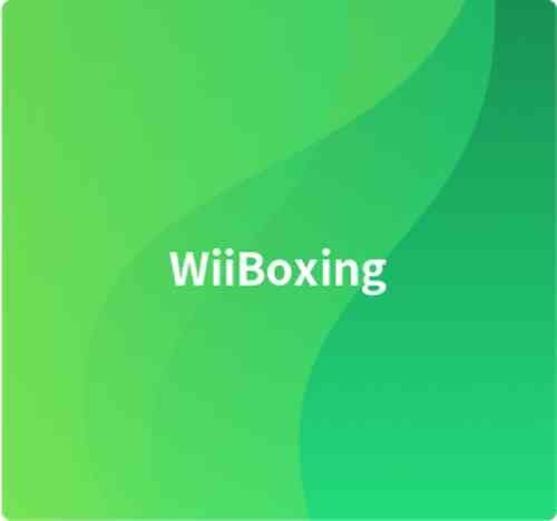 WiiBoxing