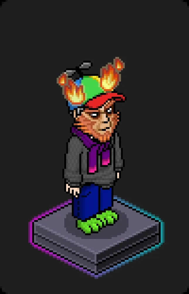 Habbo Crafted Avatar #1897