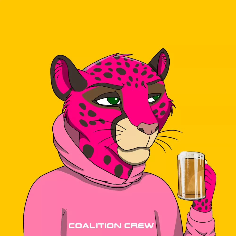 CoalitionCrew2.0 #14