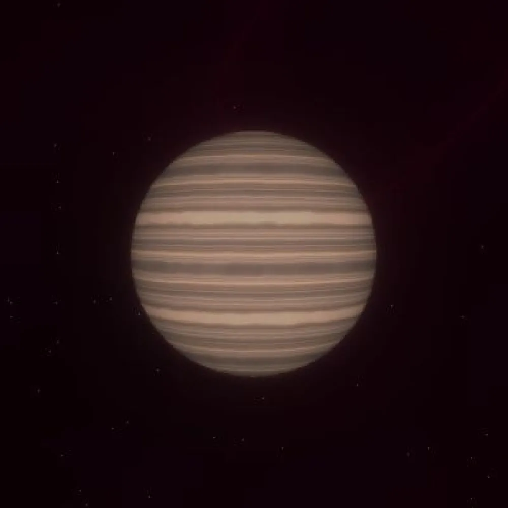 D12P1192 (#93902251)