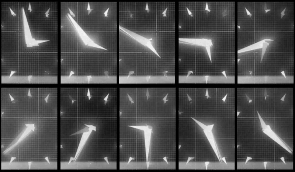 Chronophotograph 204 #204