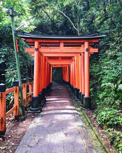 Fushimi Inari Taisha