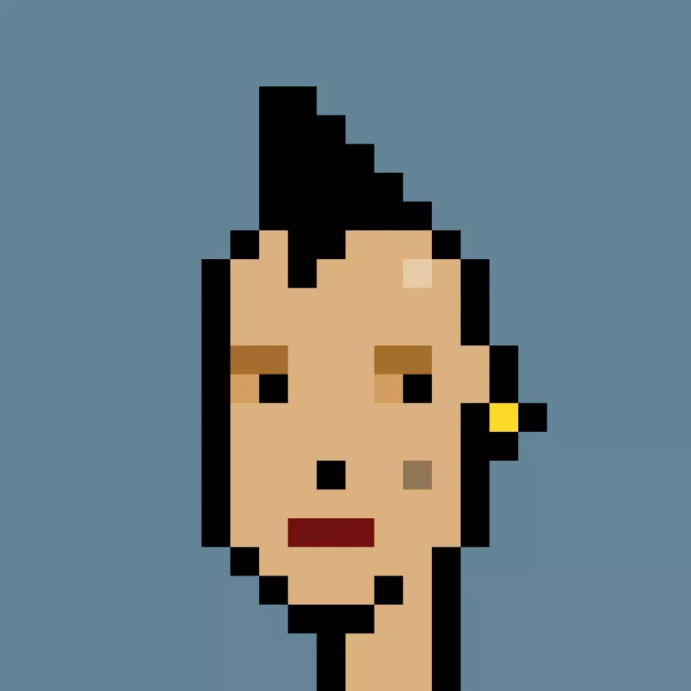 Phunk #1569