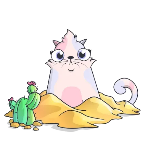 Zaki Purrboop ＃1795657