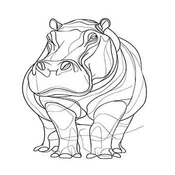 Hippopotamus Animal 0 #9