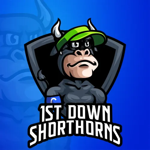 1st Down Shorthorns #6523
