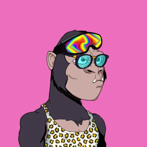 Kong #5343