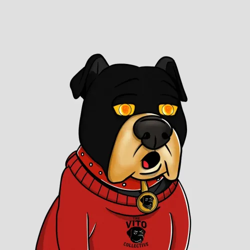 Vito #144