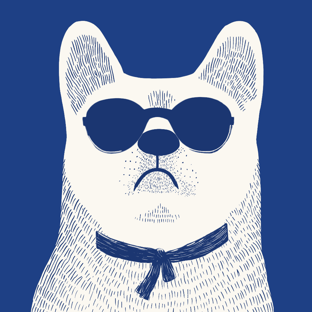 Zoolini - Akita #1836