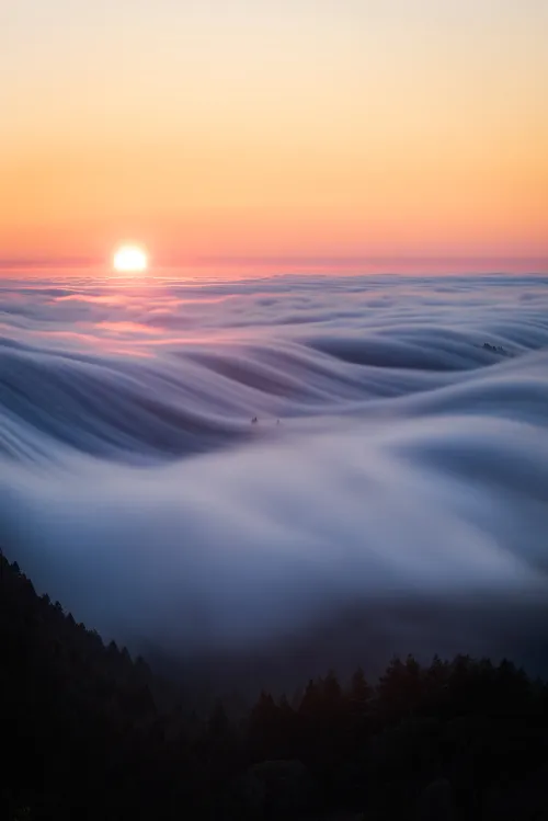 Descending|Flow #80408