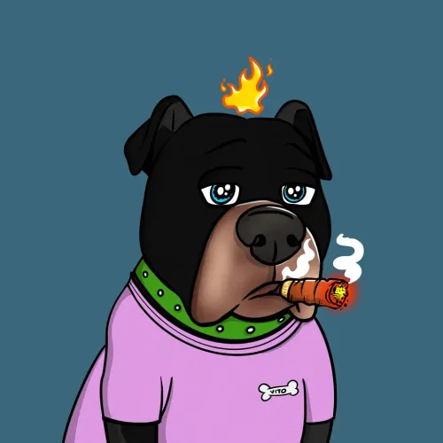 Vito #807