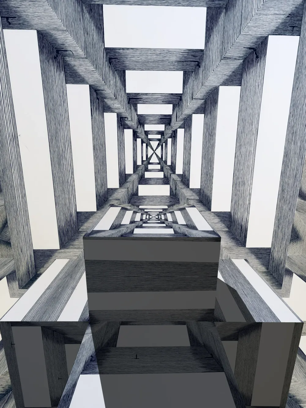 The Mirror Stage Stuck In A Phallic Phase - Tim Maxwell #18