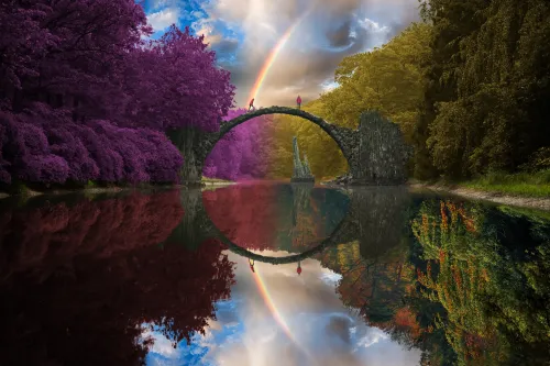 Reflection #834
