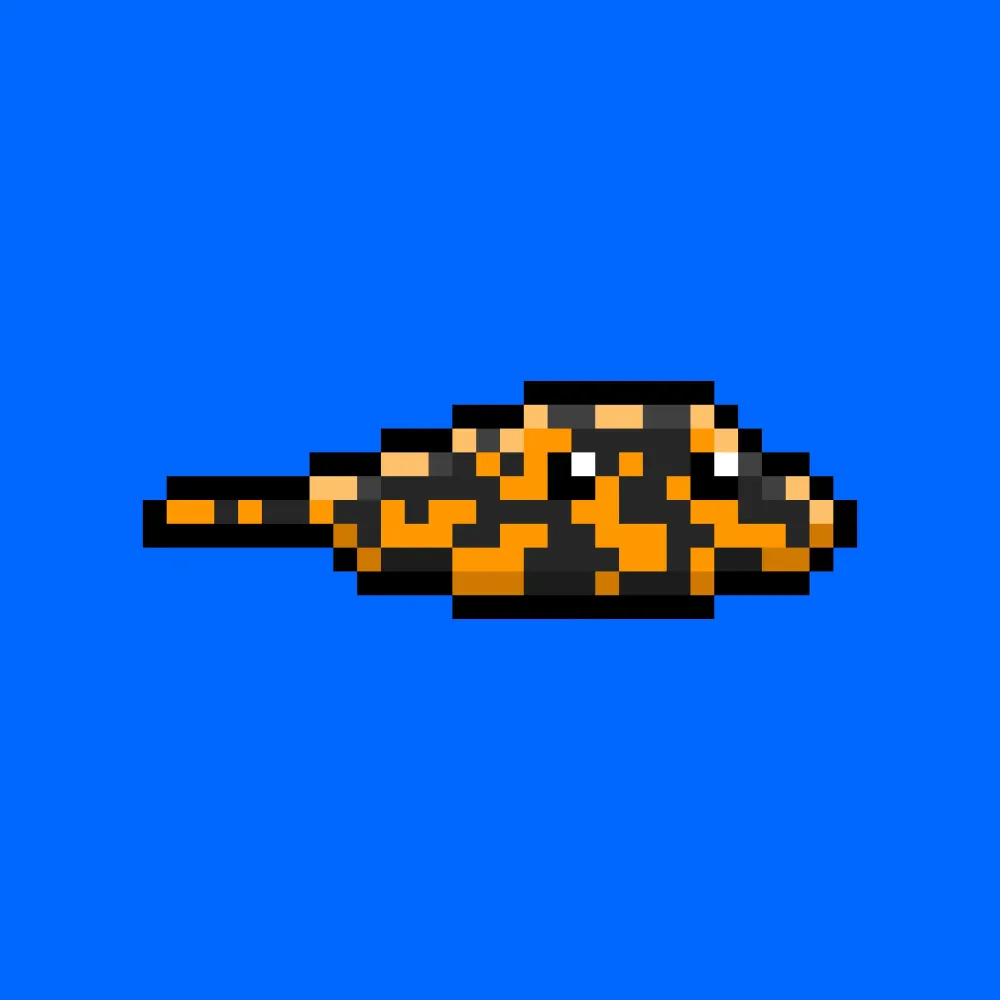 CryptoFish #846