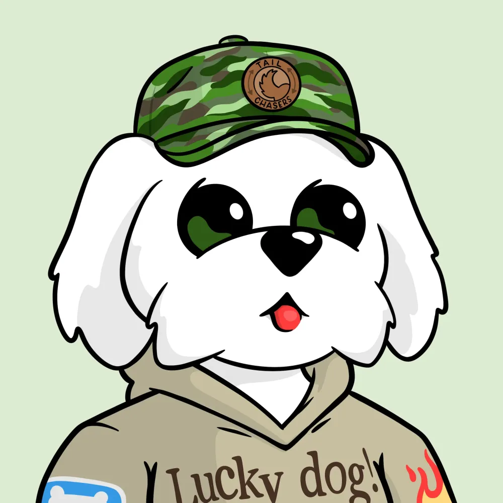 BoDoggos #2074