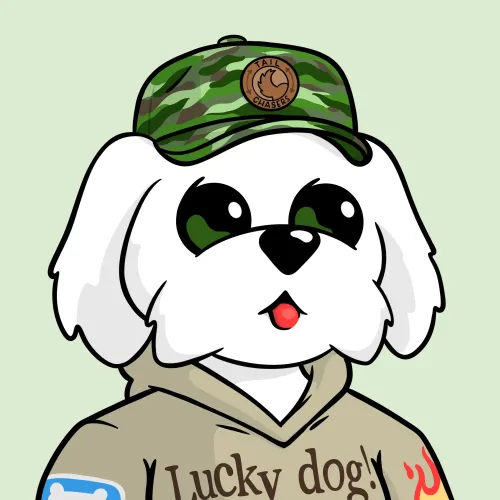 BoDoggos #2074