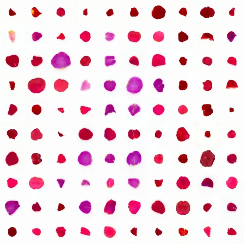 Infinite Petals 10x10#10158