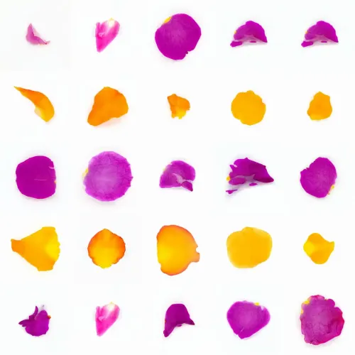 Infinite Petals 5x5#605