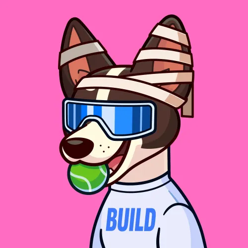 Basenji #382