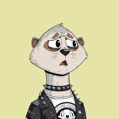 Worried Meerkat #253