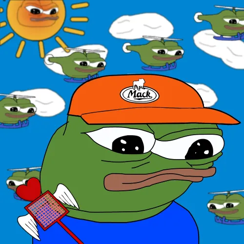 Apu #491