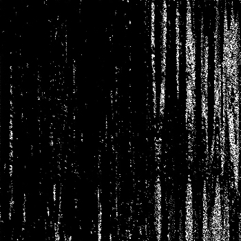 Noise ＃320