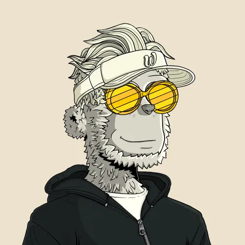 y00t #2915