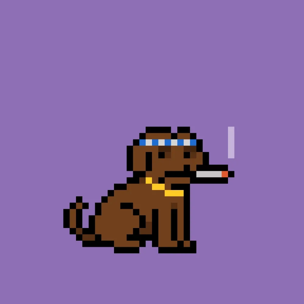 PUPZ #689