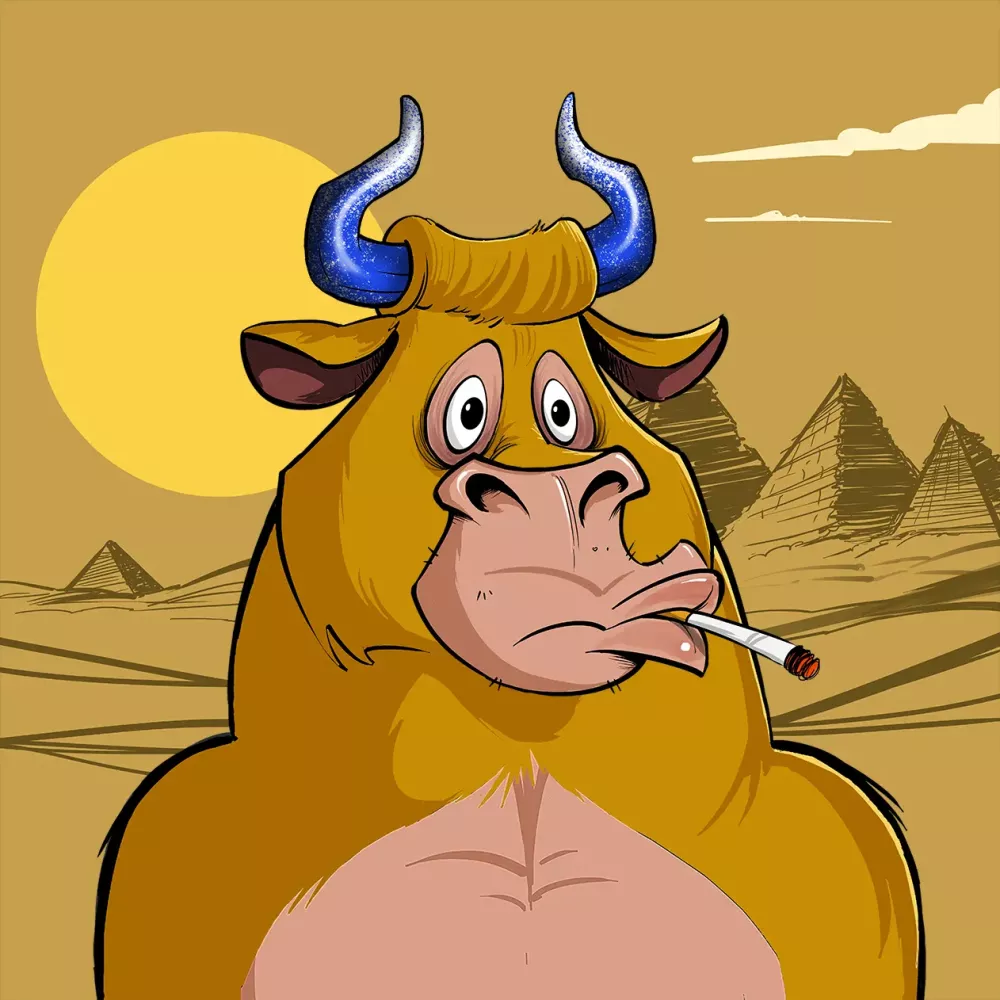 BullsOnTheBlock #6455