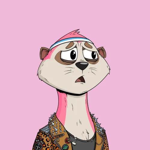 Worried Meerkat #276