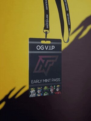 NFTeams OG Mint Pass #113