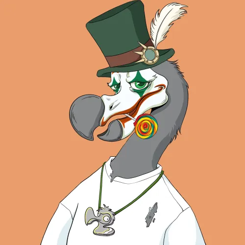 DoDo #4562