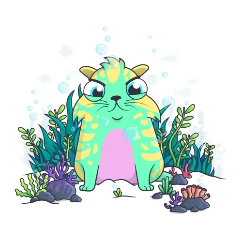 cyan turtle salty h1 (2) #858938