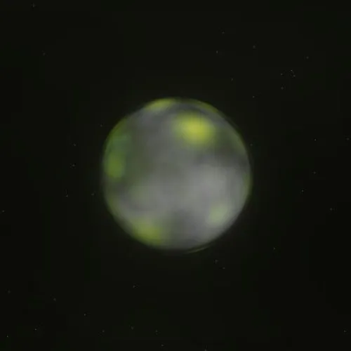D17P1695 (#93907147)