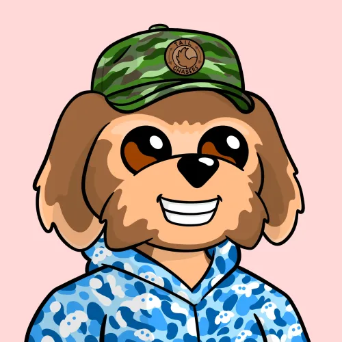 BoDoggos #101