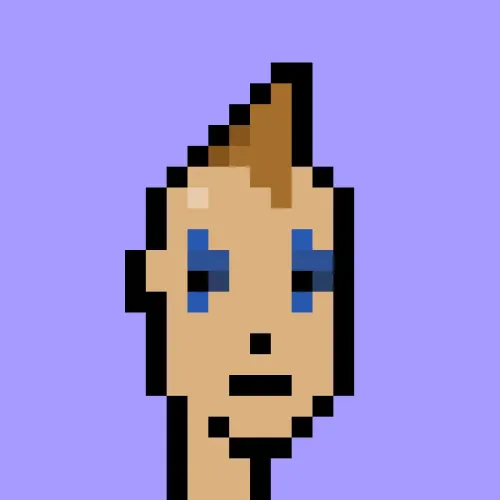 V1 PUNK #7411