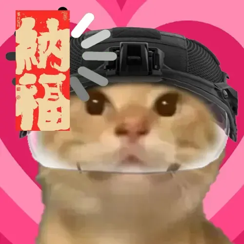 maodie the cat #1435