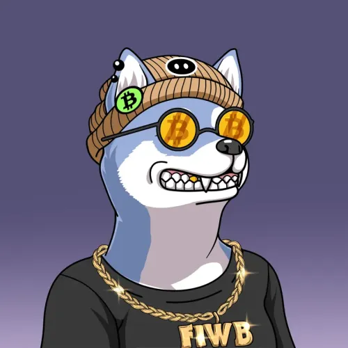 SOLDOGE #52