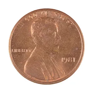 #65958262