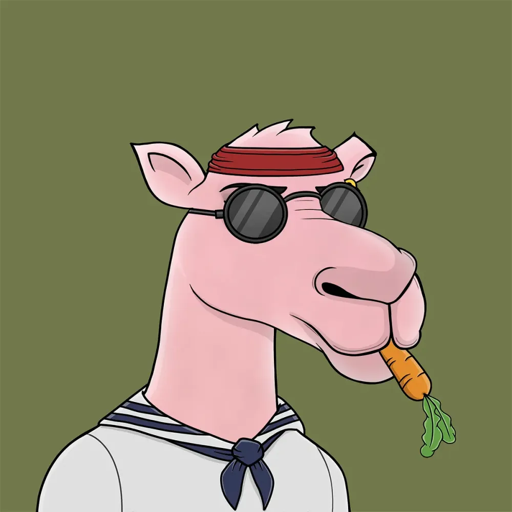 Camel #6119