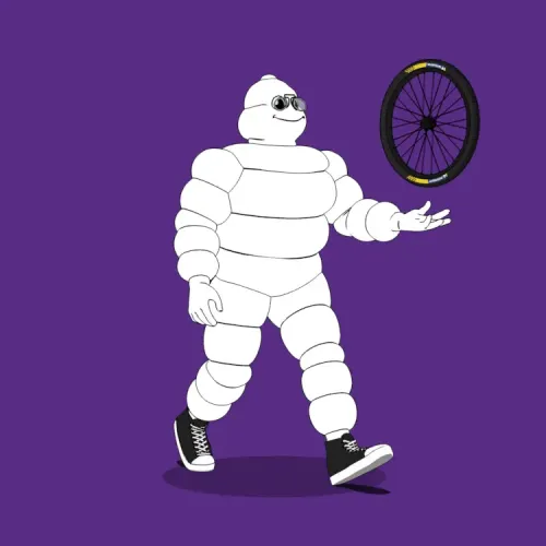 Michelin 3xplorer #2103