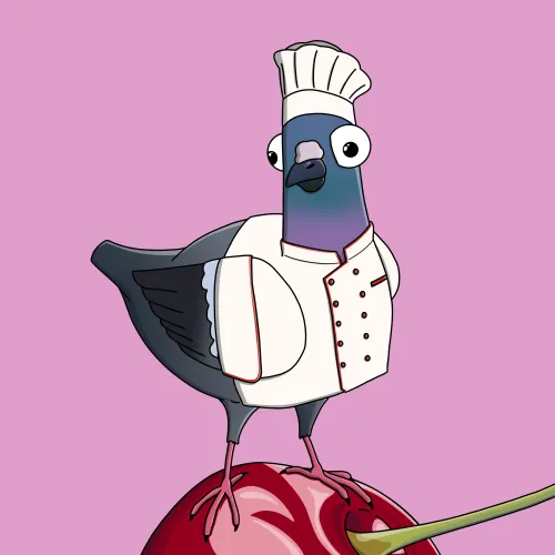 Chef Pigeon #1