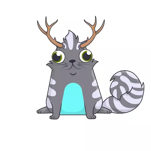 Kitte Khancadabra #1332879