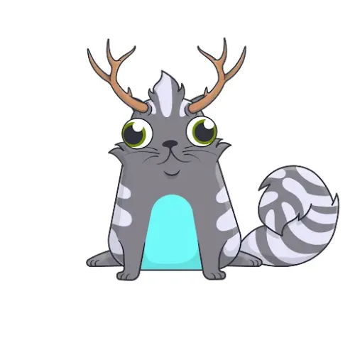 Kitte Khancadabra #1332879
