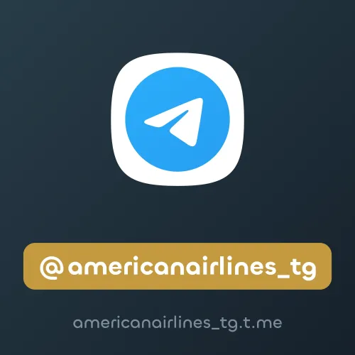 @americanairlines_tg