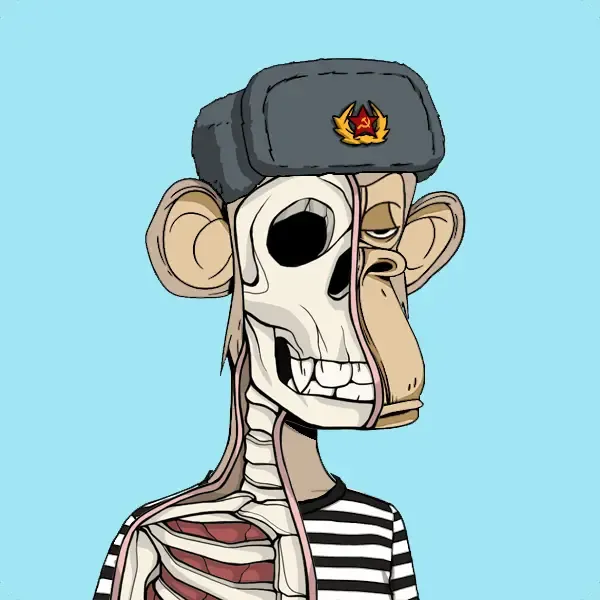 Broken Ape Yacht Club #241