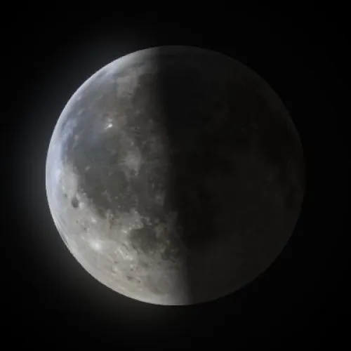 Last Quarter (#93328988)
