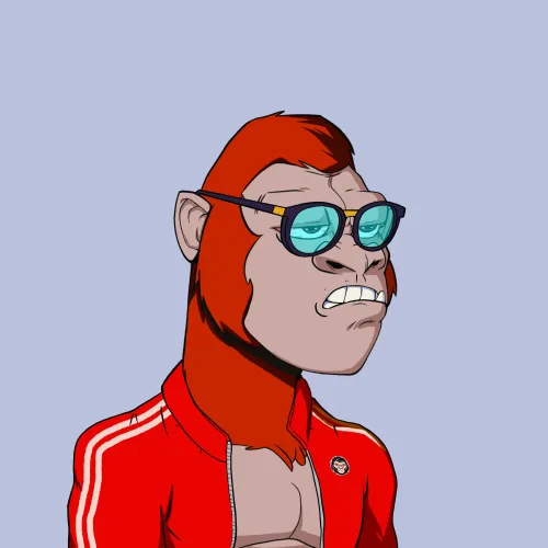 Kong #8668