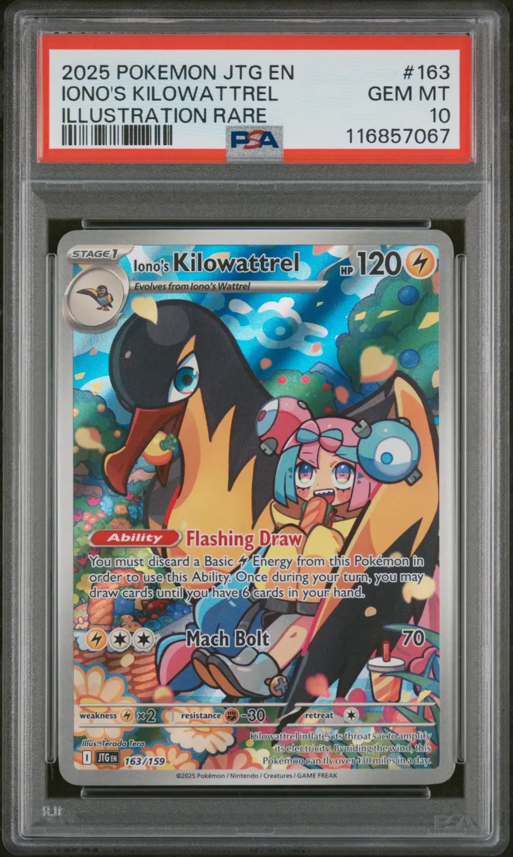 2025 #163 Iono's Kilowattrel PSA