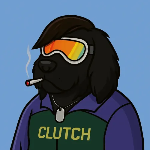 Clutch Puppy #1636